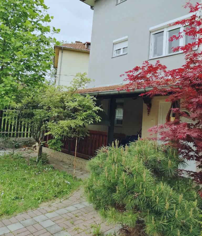 Duplex Mihajlovic-Vrnjacka Banja Διαμέρισμα Εξωτερικό φωτογραφία